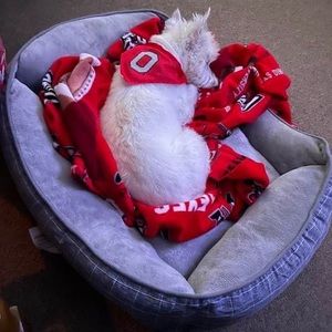 Meet your Posher, Diane